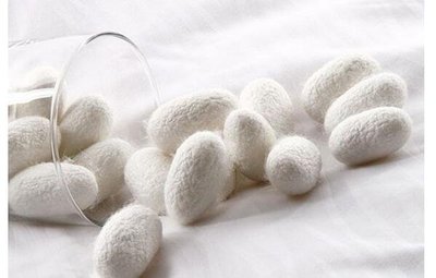蠶絲被能曬嗎？不看就后悔的蠶絲制品保養(yǎng)小知識(shí)